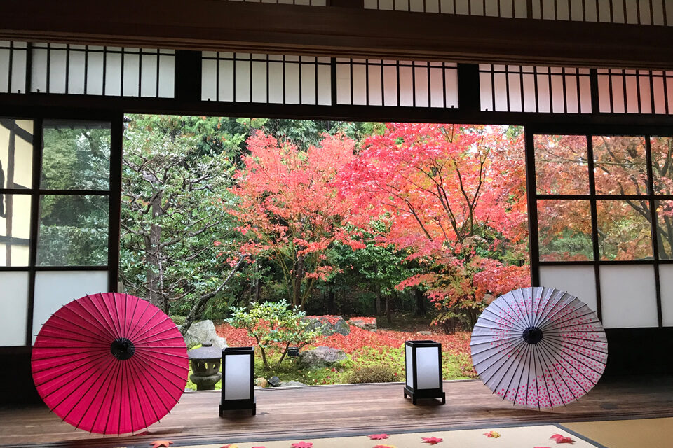勝林寺 京都 紅葉