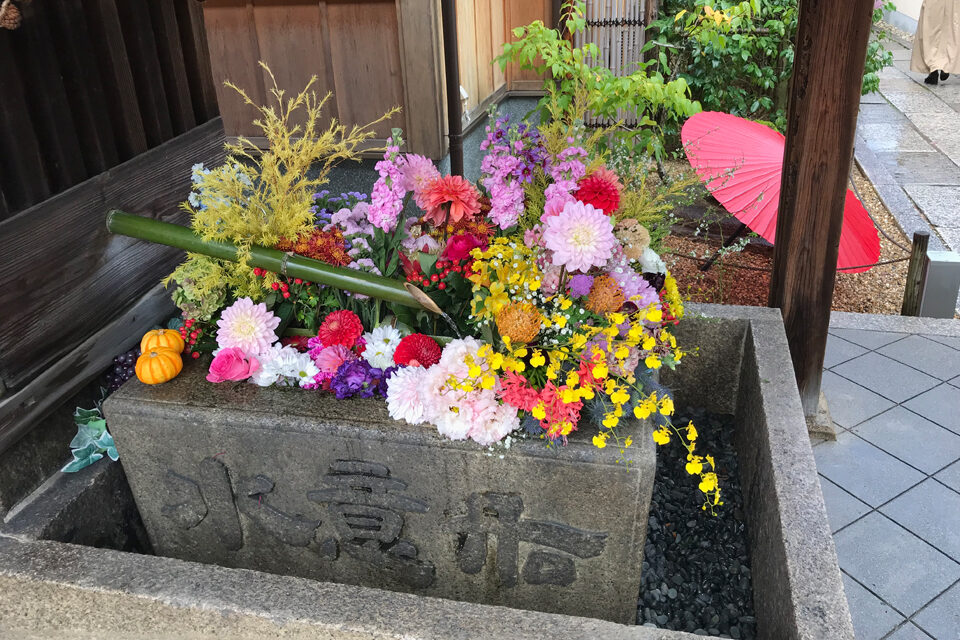勝林寺 京都 紅葉