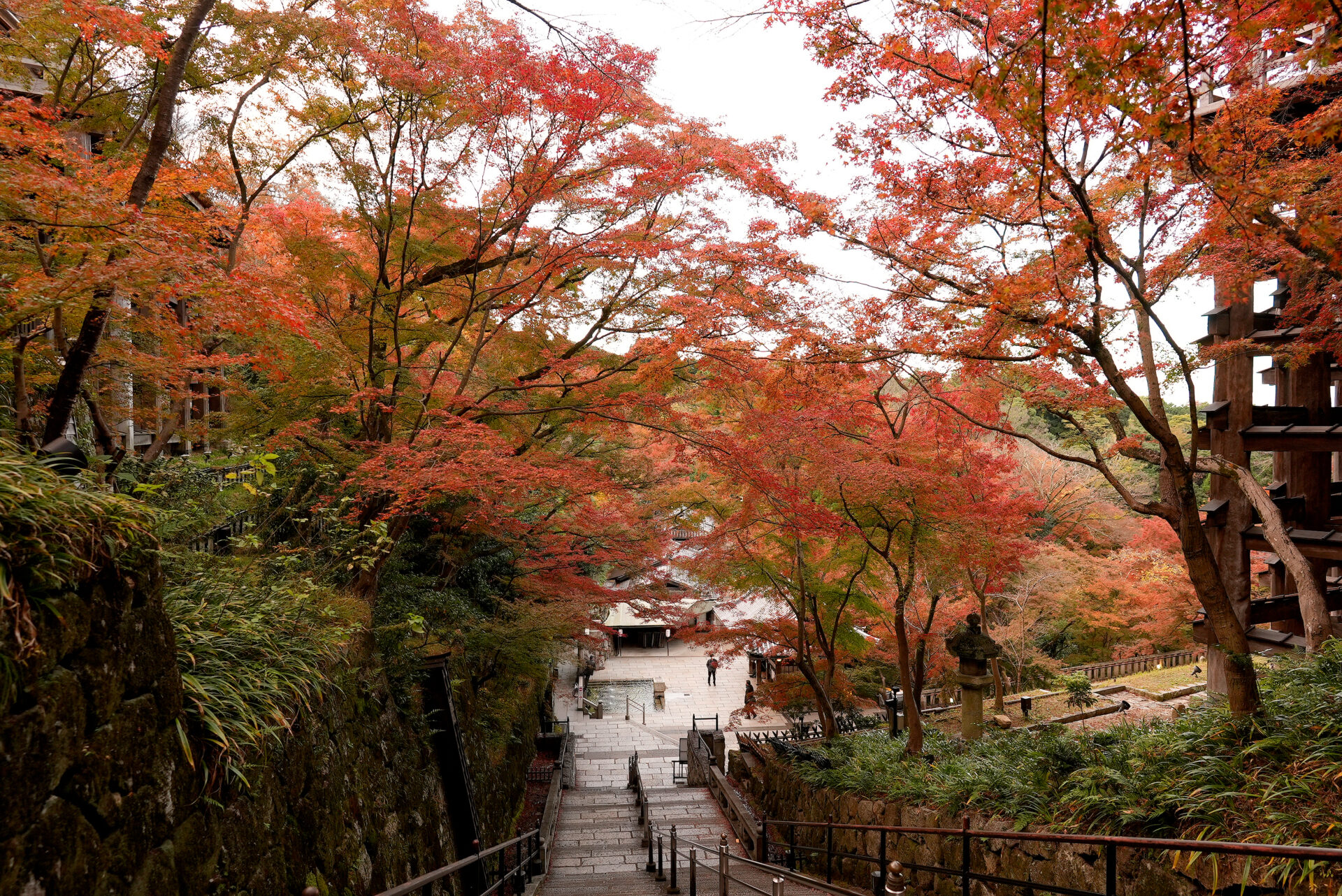 清水寺 紅葉 京都