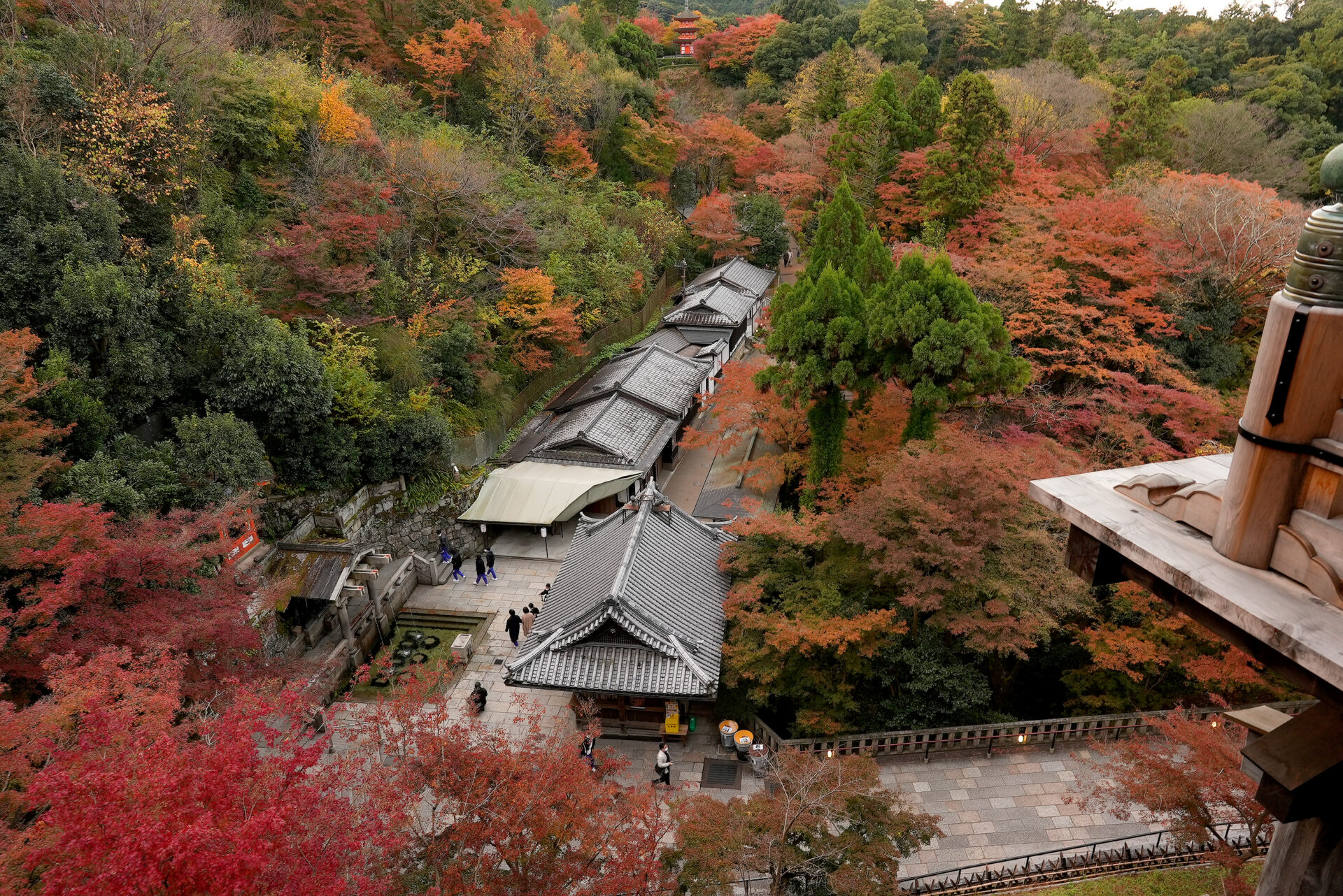 清水寺 紅葉 京都