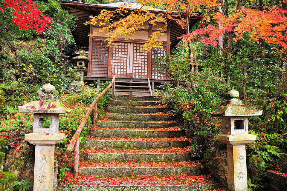 護法堂弁財天 紅葉