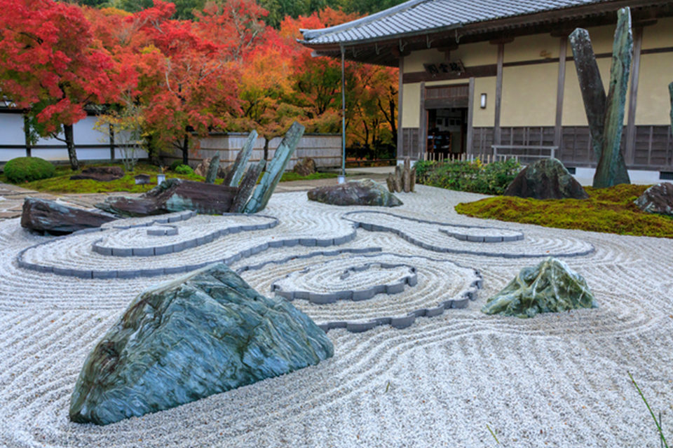 圓光寺 紅葉
