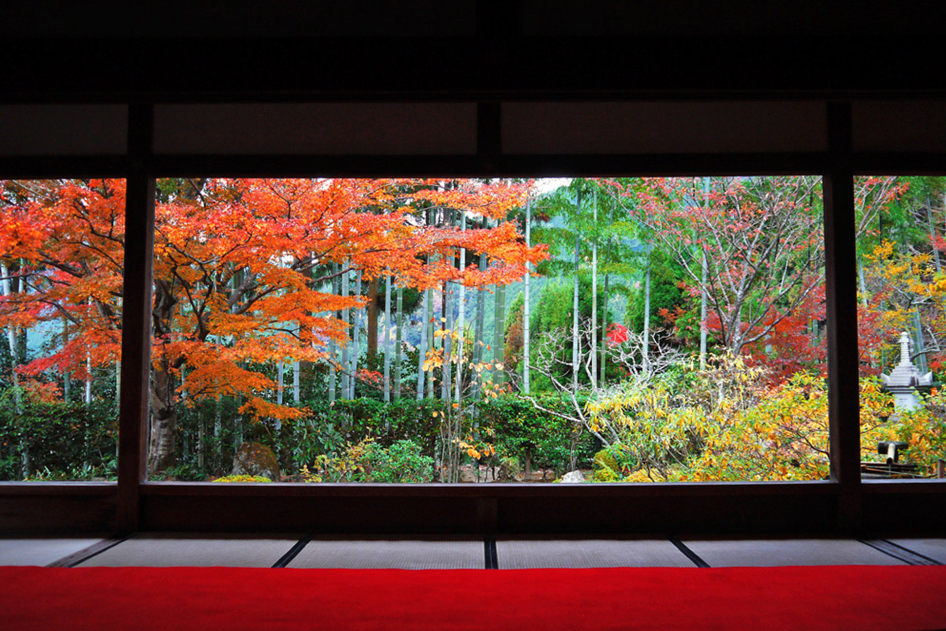 宝泉院 京都　紅葉