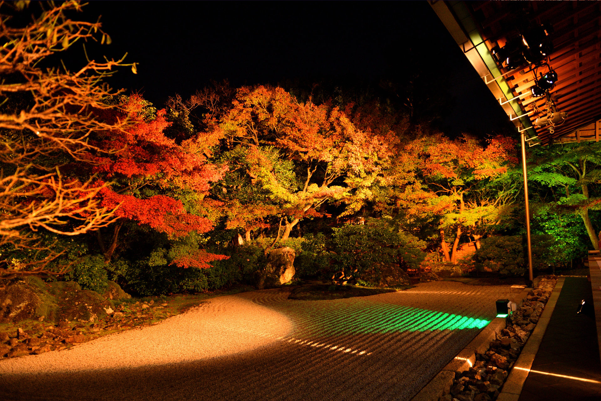 圓徳院 京都　紅葉