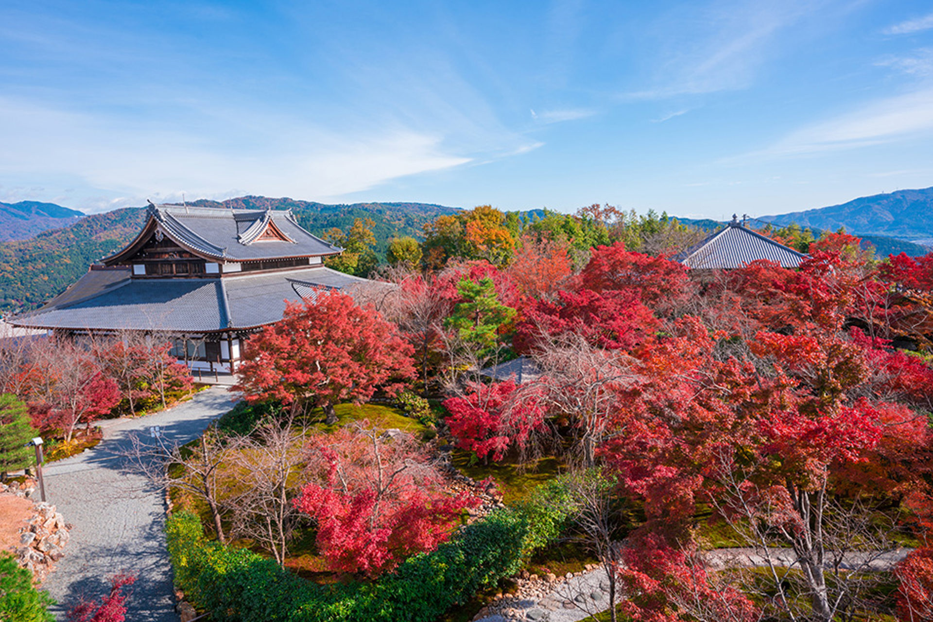 将軍塚青龍殿の紅葉