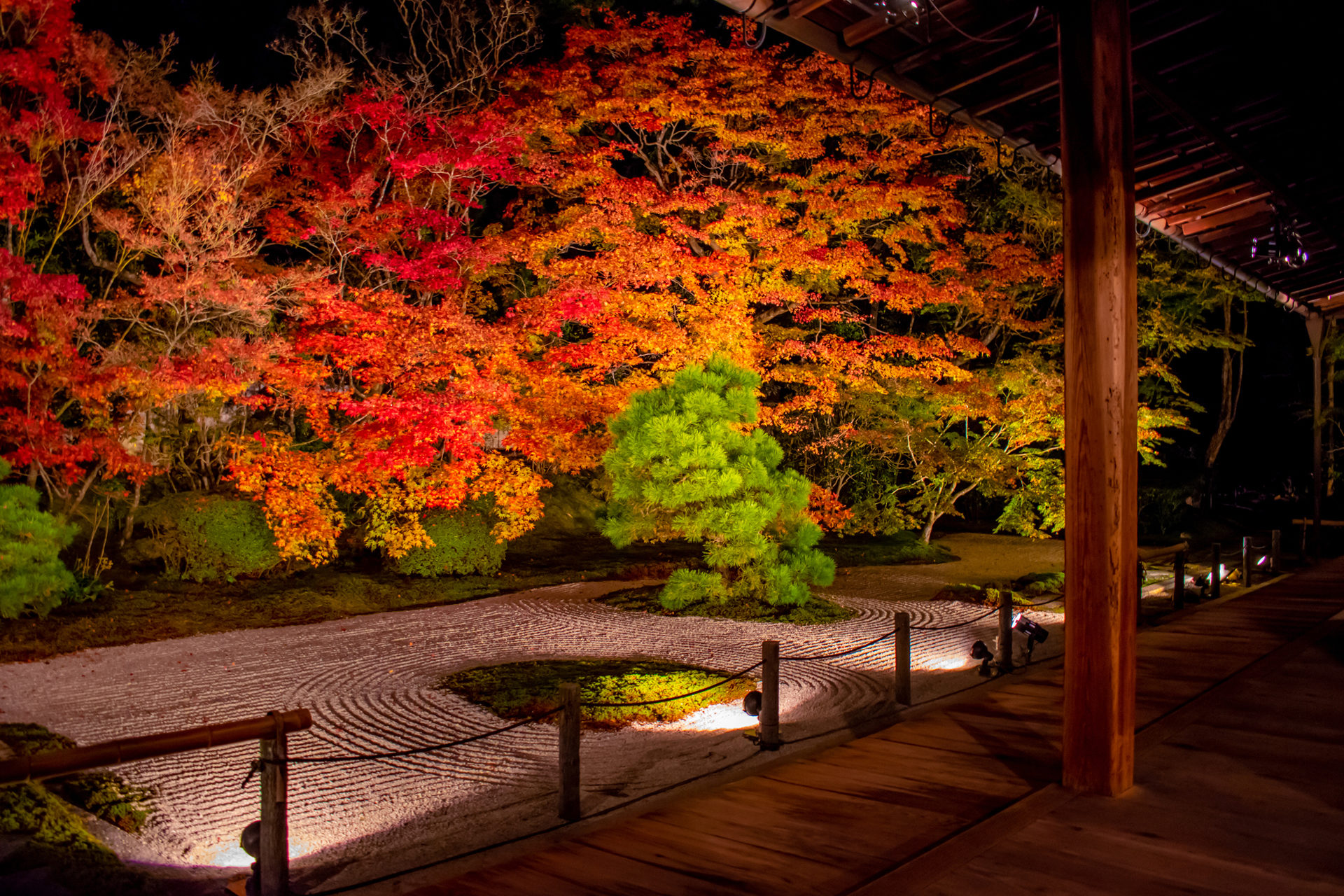 南禅寺天授庵：紅葉ライトアップ