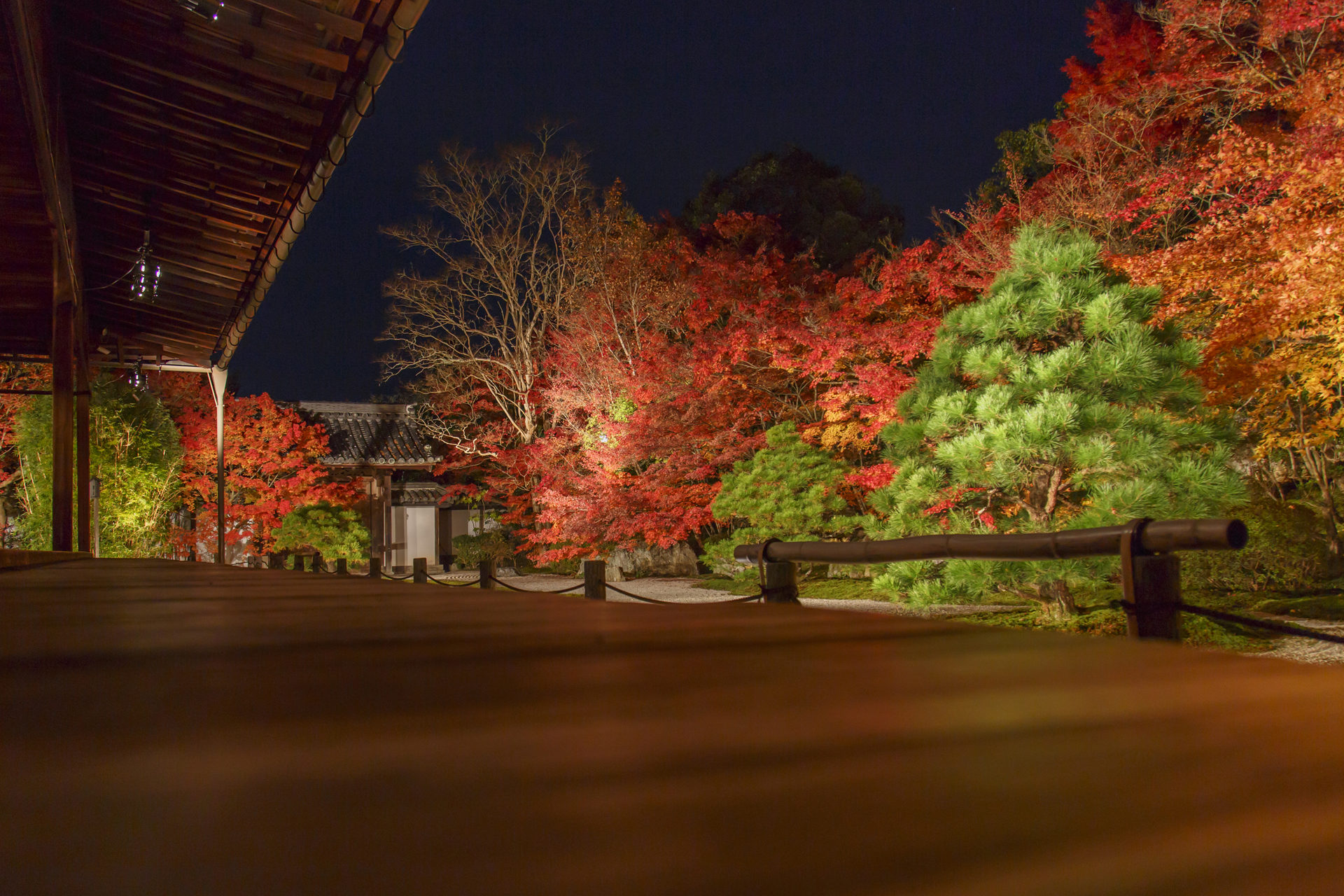南禅寺天授庵：紅葉ライトアップ