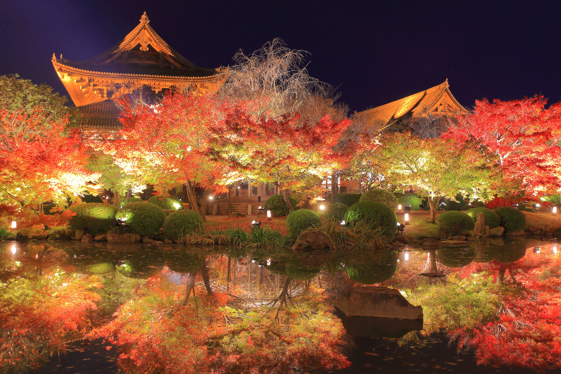 京都　東寺　ライトアップ