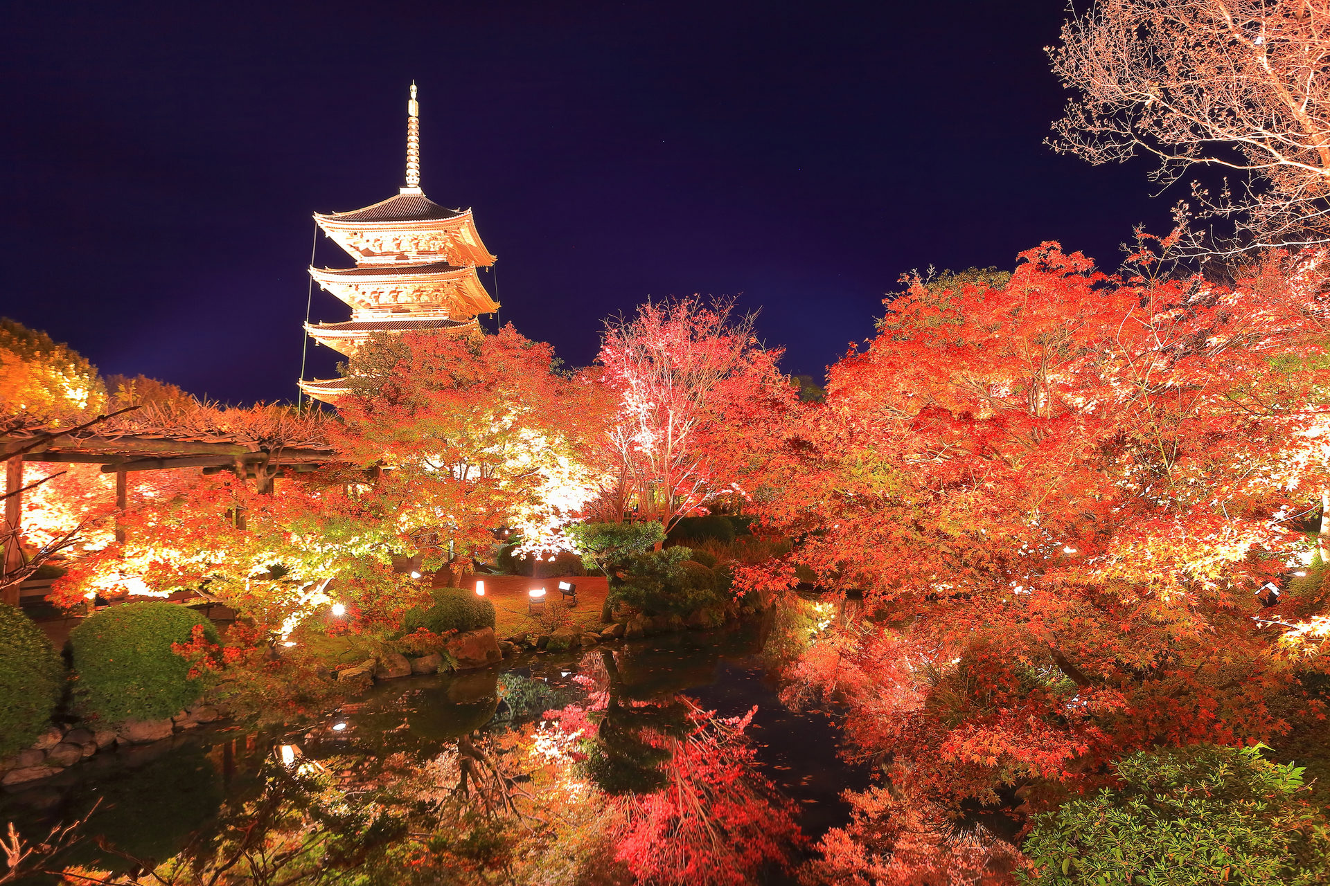 京都　東寺　ライトアップ