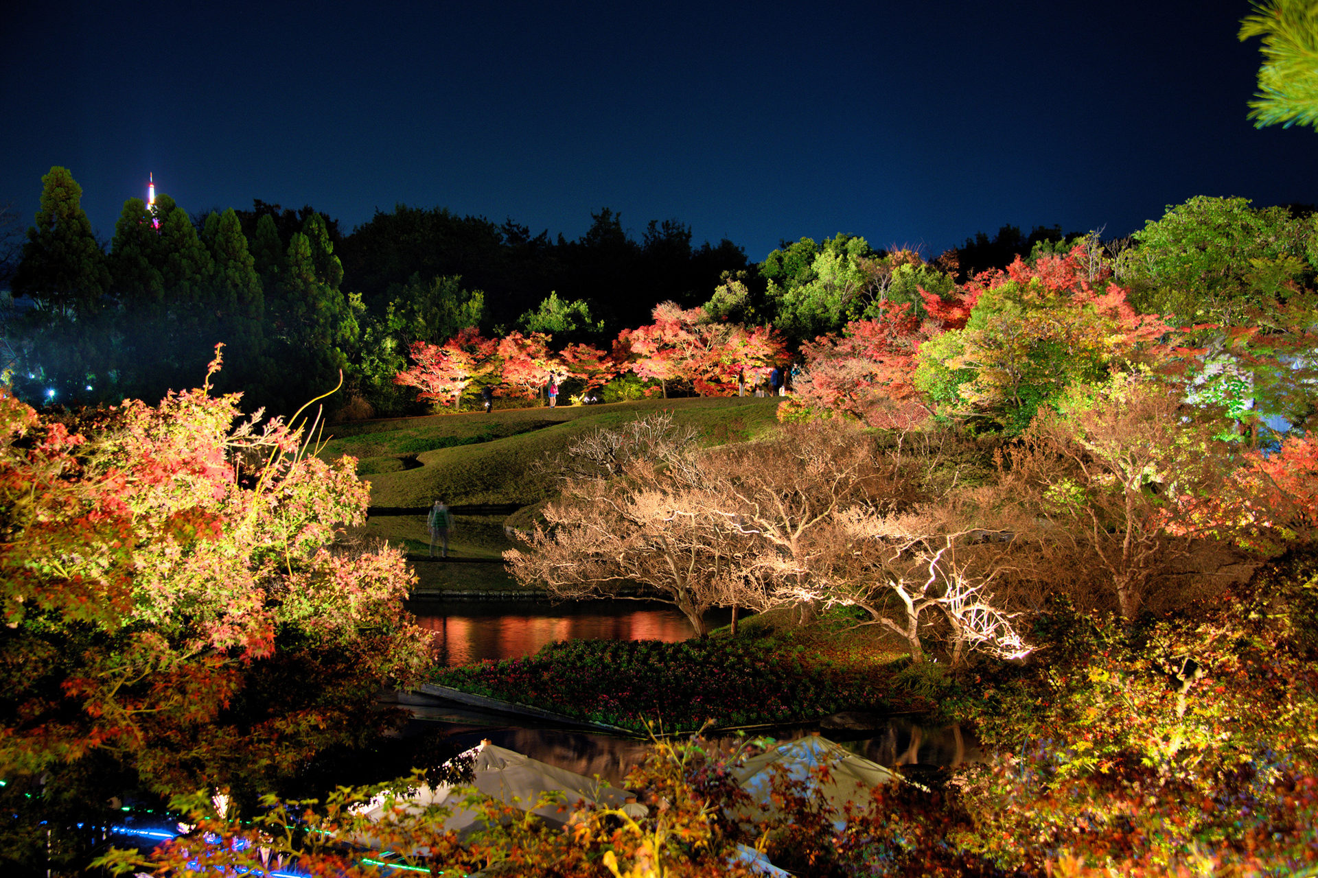 京都　梅小路公園　ライトアップ