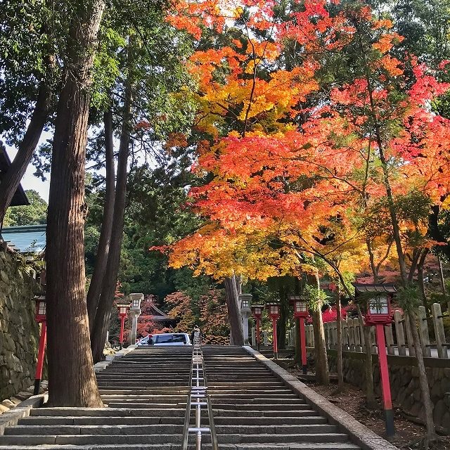 吉田神社_紅葉