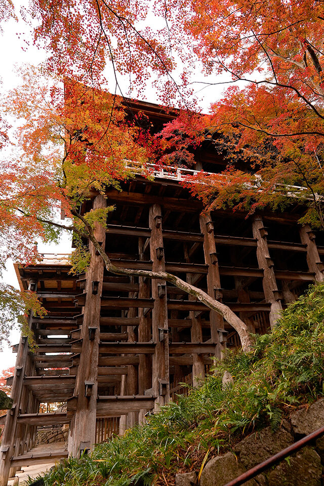 清水寺 京都 紅葉