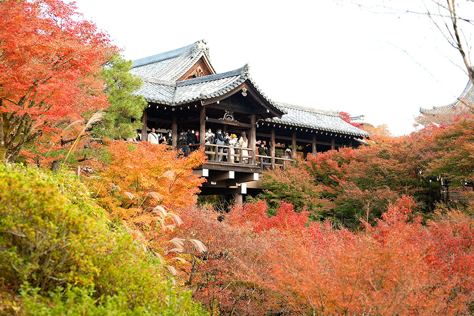 東福寺 紅葉 京都