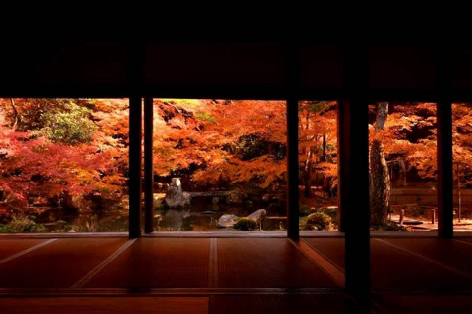 源光庵の紅葉
