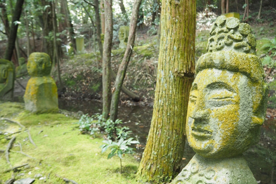 酬恩庵 一休寺