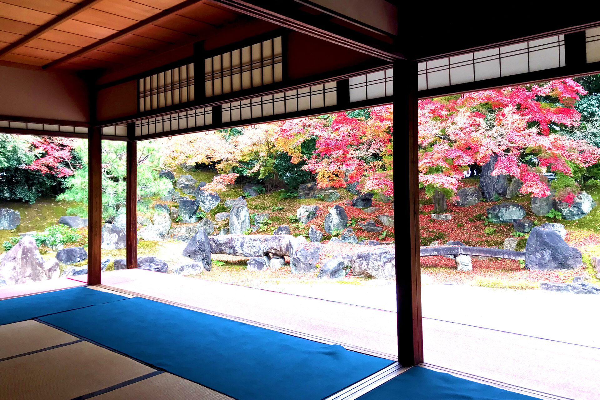圓徳院 京都 紅葉