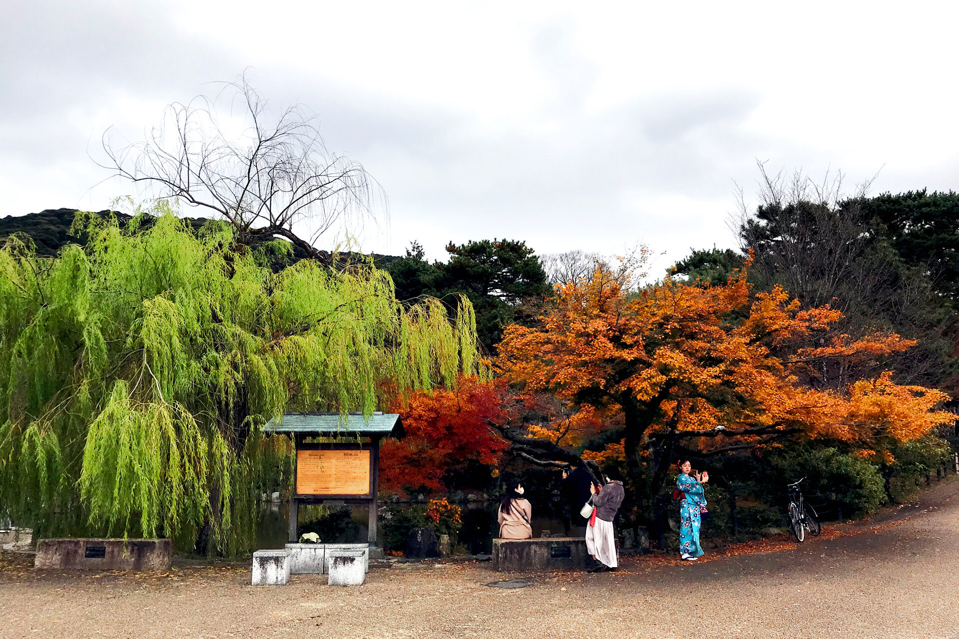 円山公園 京都 紅葉