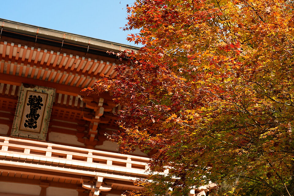 鞍馬寺 紅葉 京都
