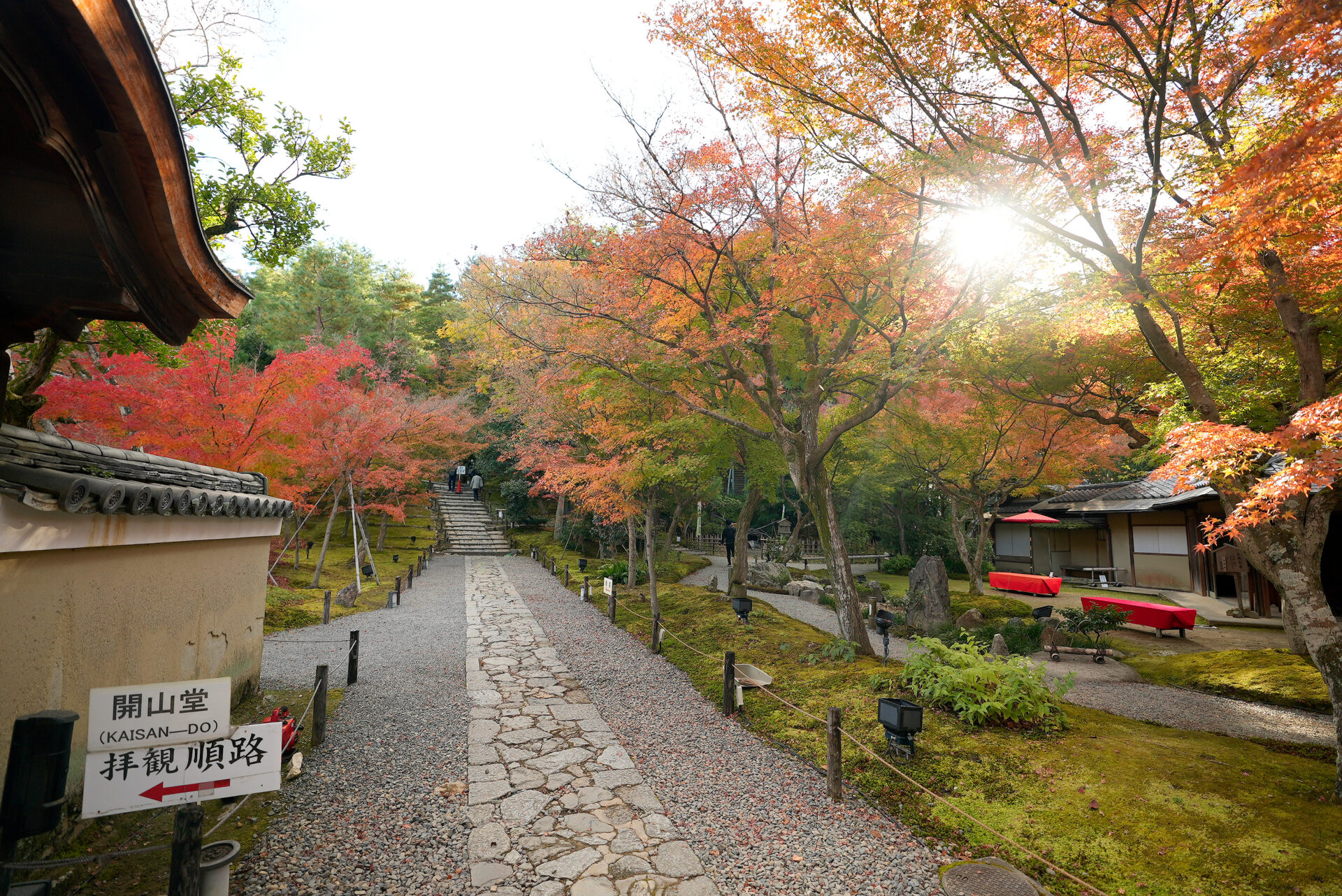 高台寺 紅葉
