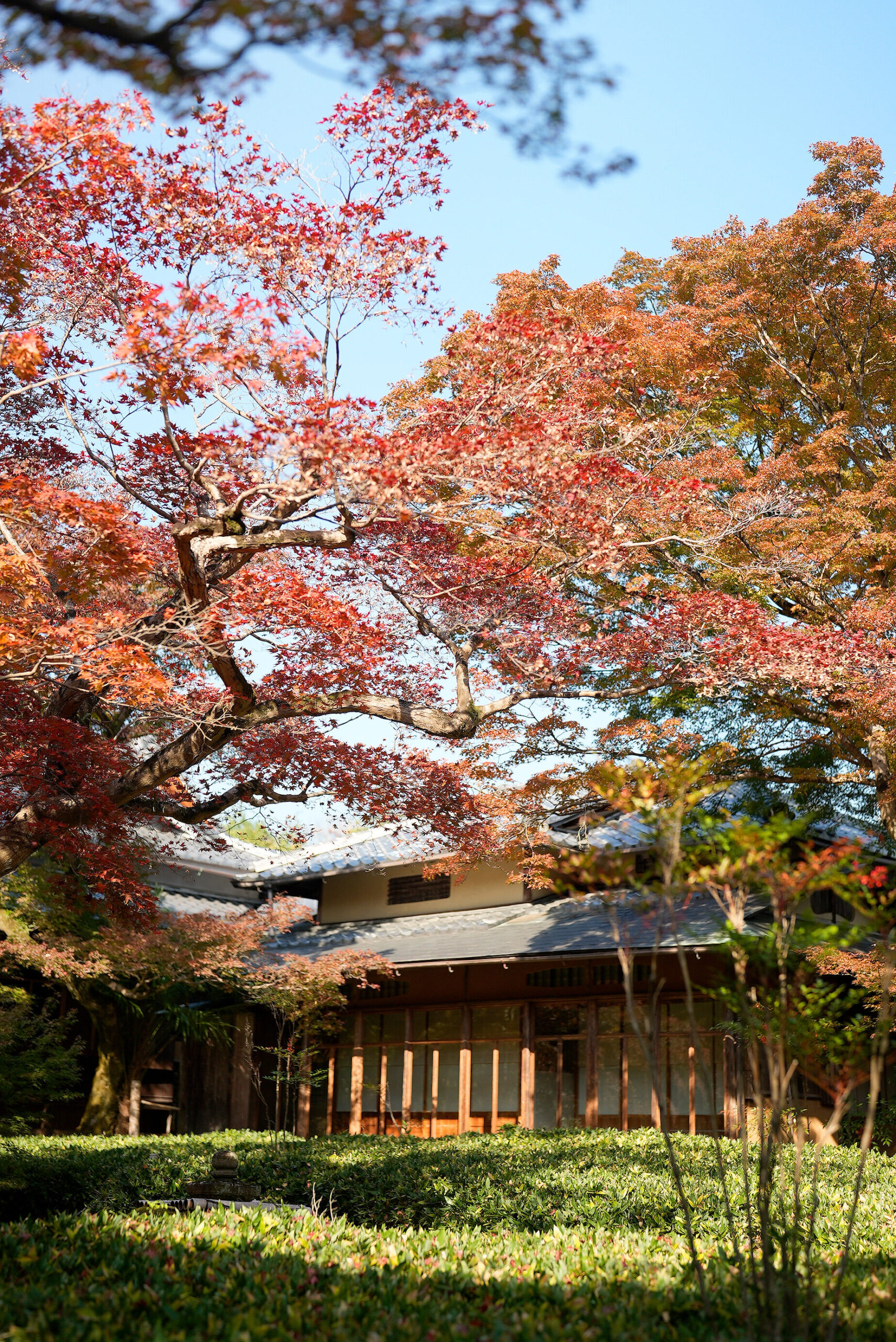 宝厳院の見どころ