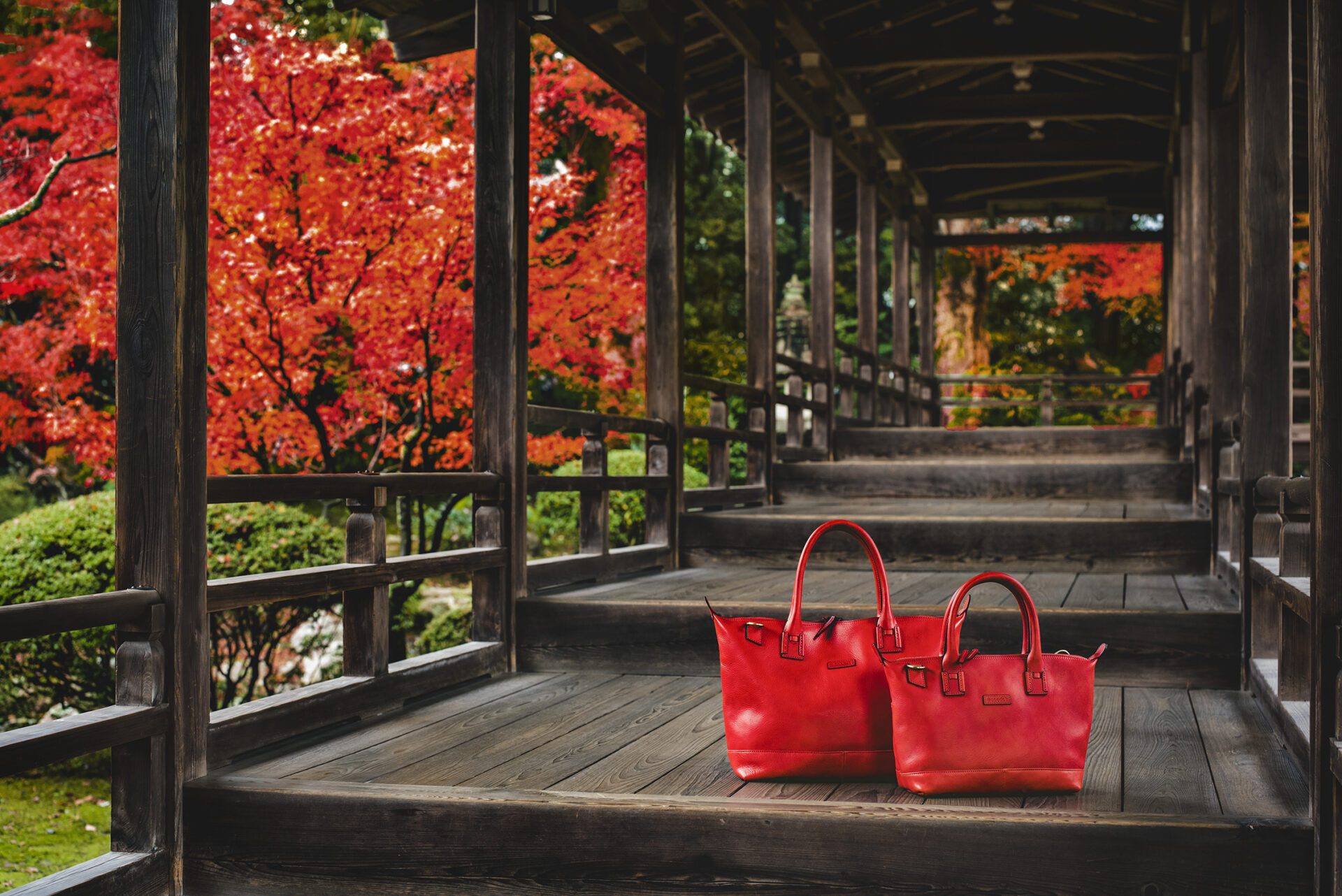 大覚寺 紅葉 京都