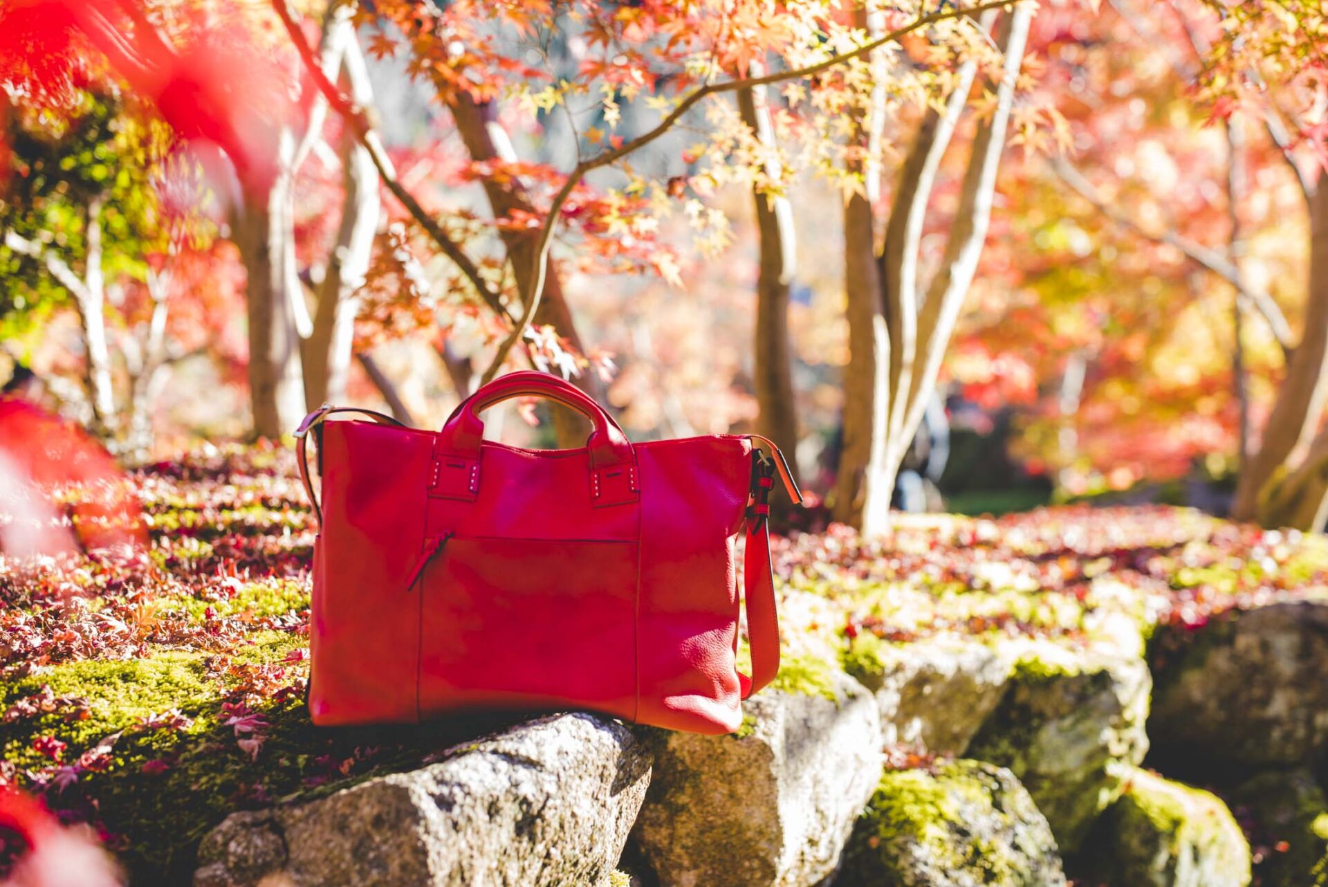 南禅寺 紅葉