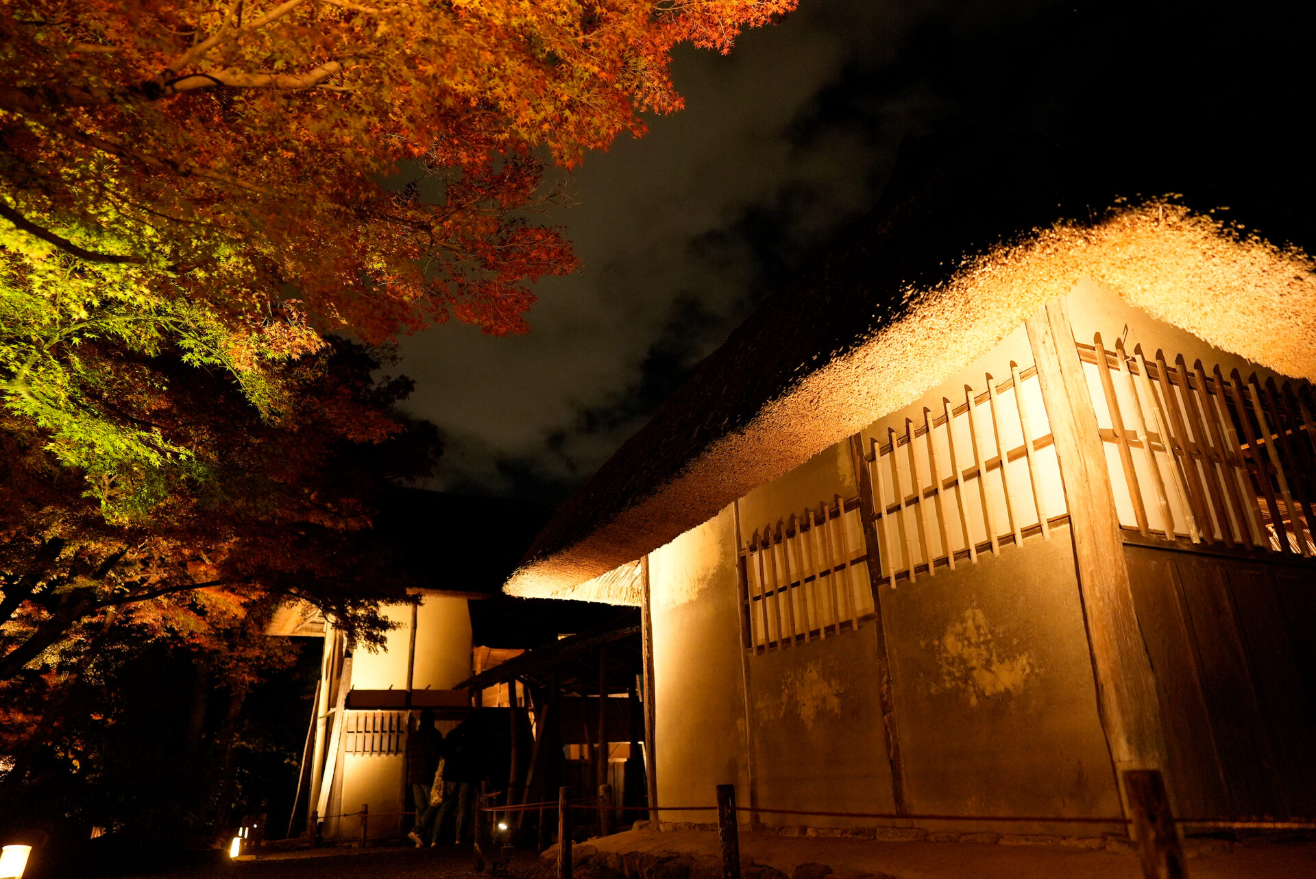 茅葺 高台寺 紅葉