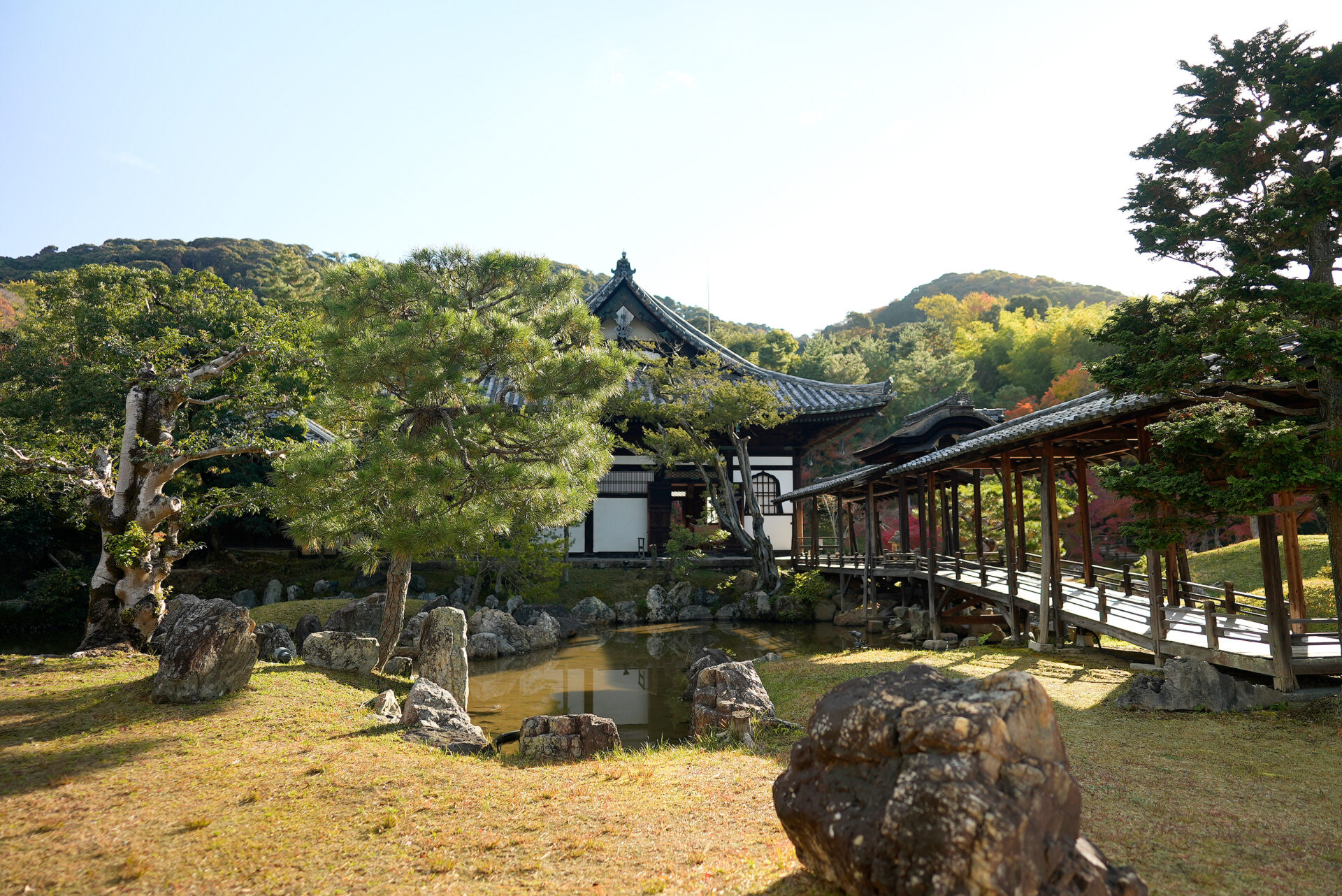 高台寺 紅葉