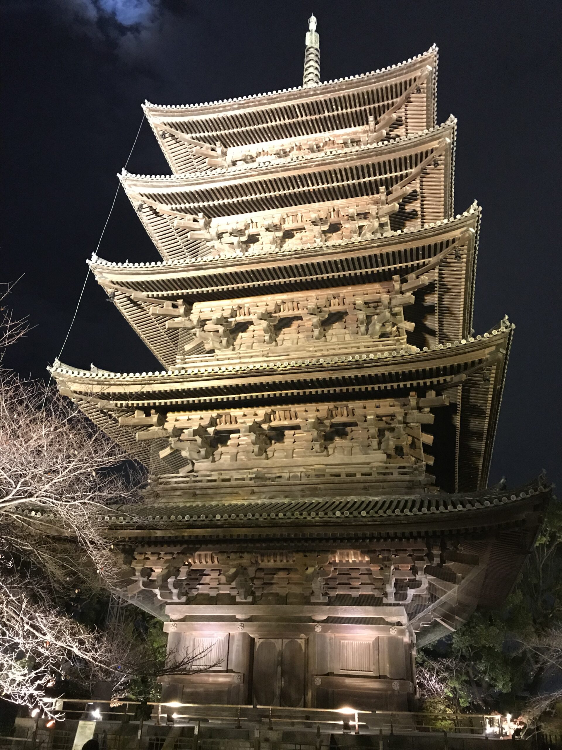 東寺 紅葉 京都