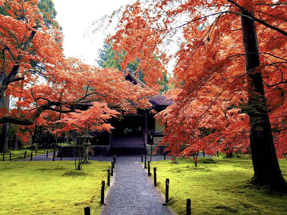 有清園 京都 紅葉