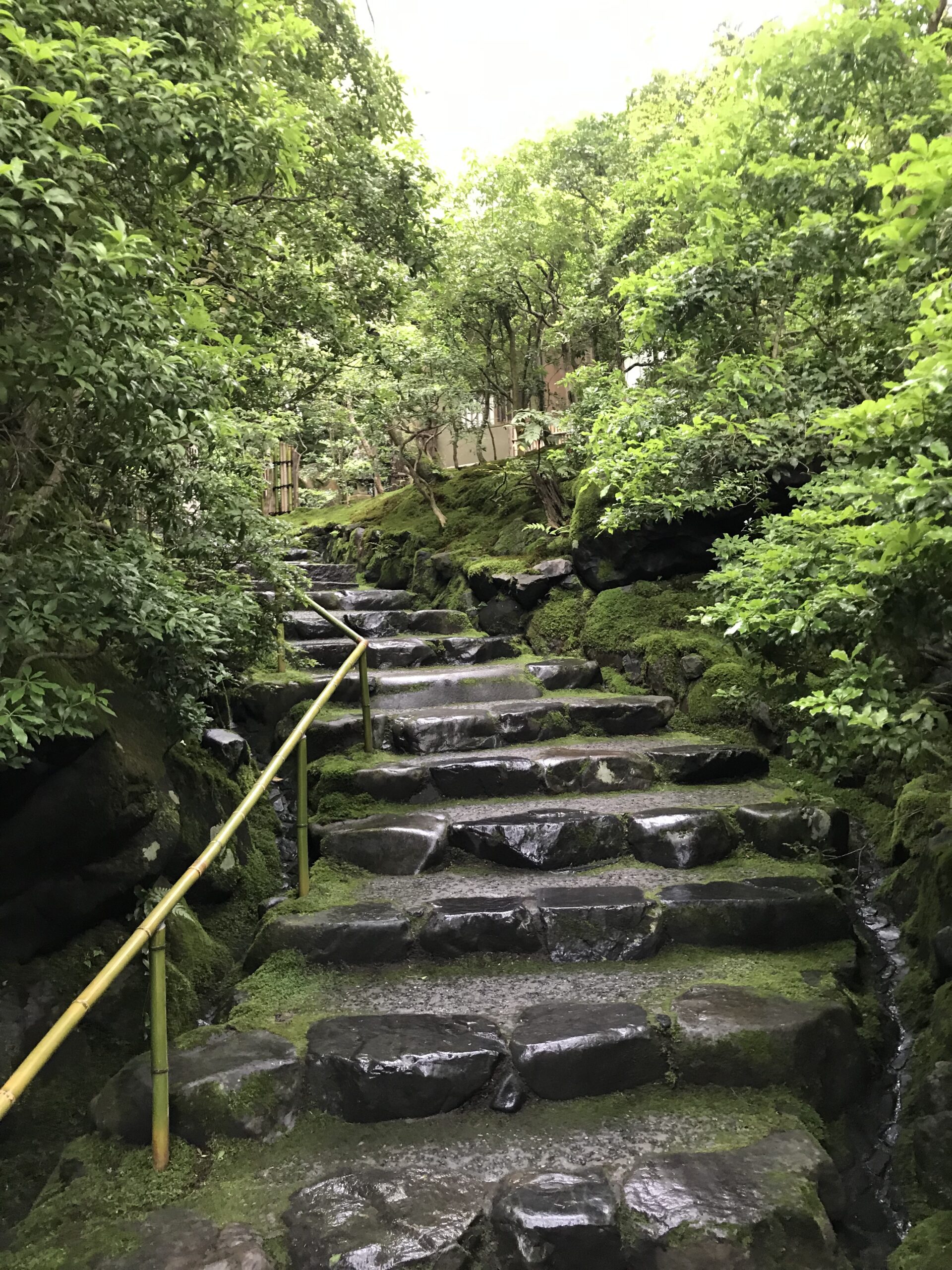 京都 瑠璃光院 参道