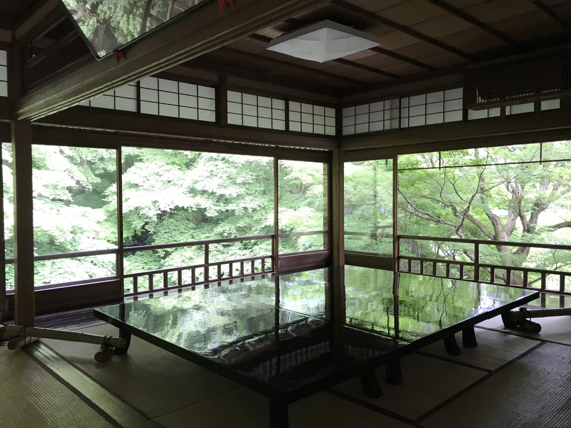 京都 瑠璃光院 青紅葉