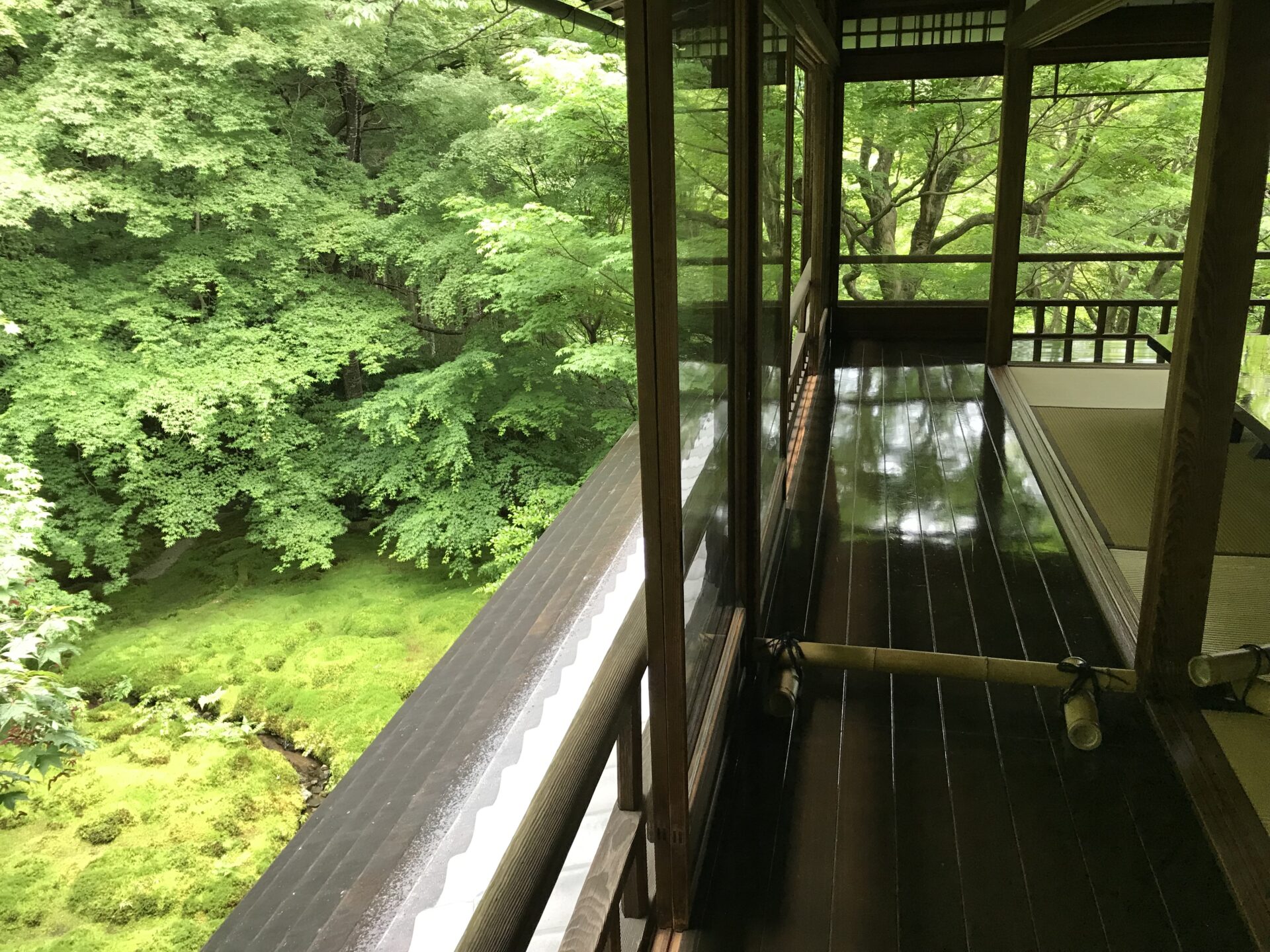 京都 瑠璃光院 青紅葉