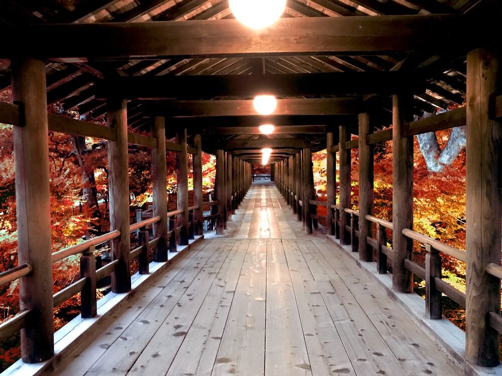 東福寺 紅葉 京都