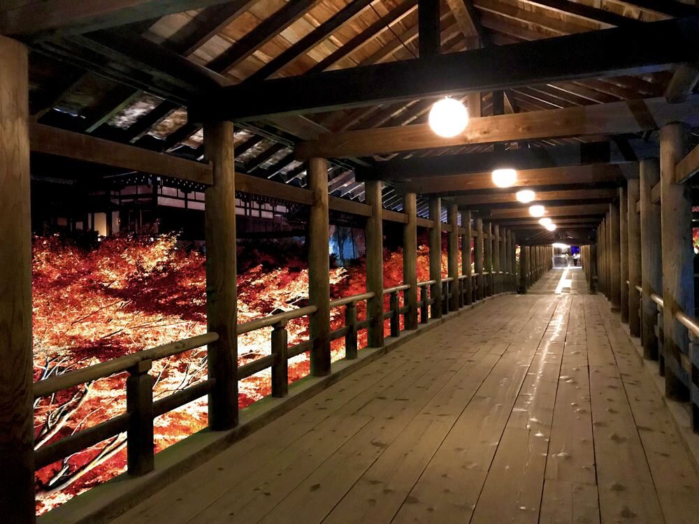 東福寺 紅葉