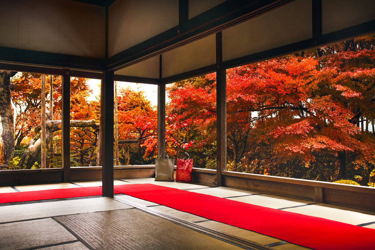 宝泉院 紅葉 京都
