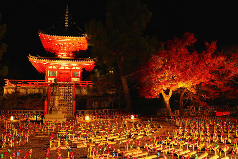 大覚寺 紅葉