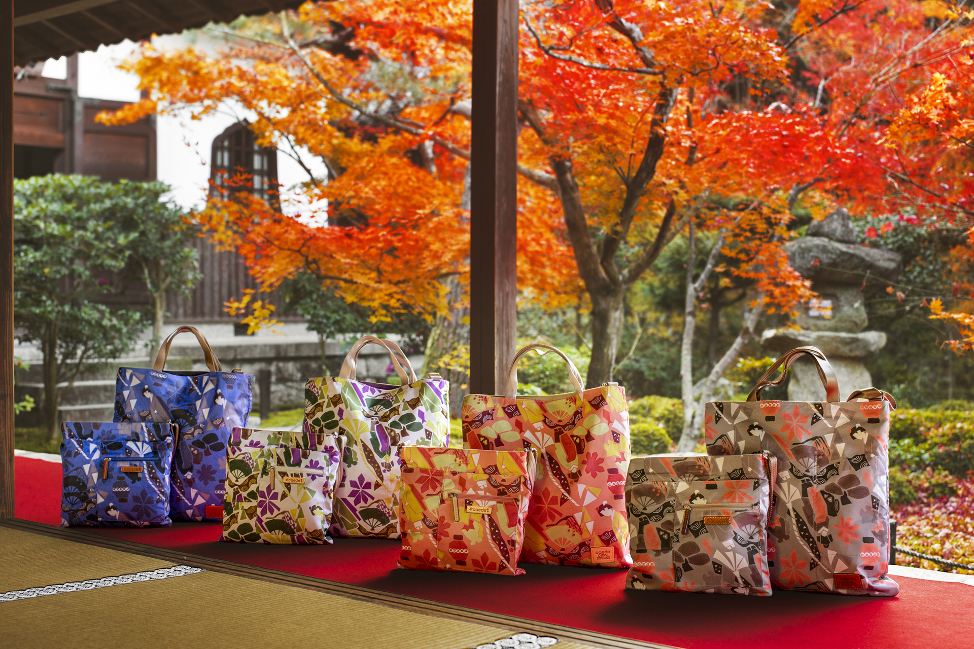 圓光寺の紅葉