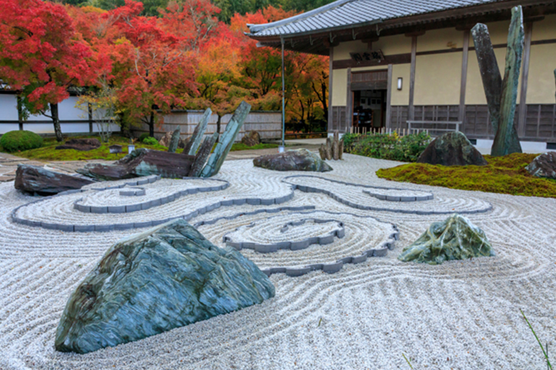 圓光寺 紅葉