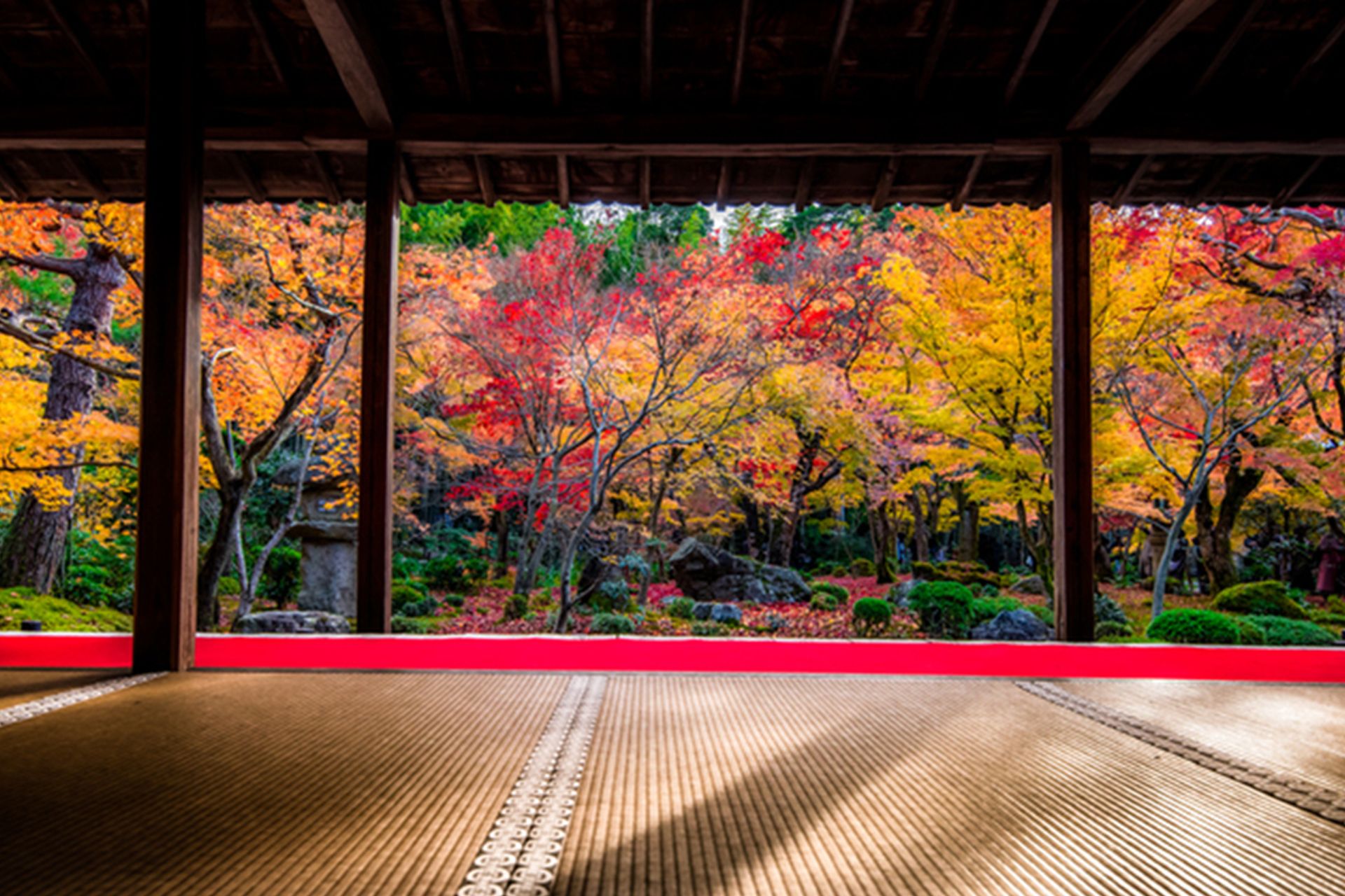 圓光寺 紅葉
