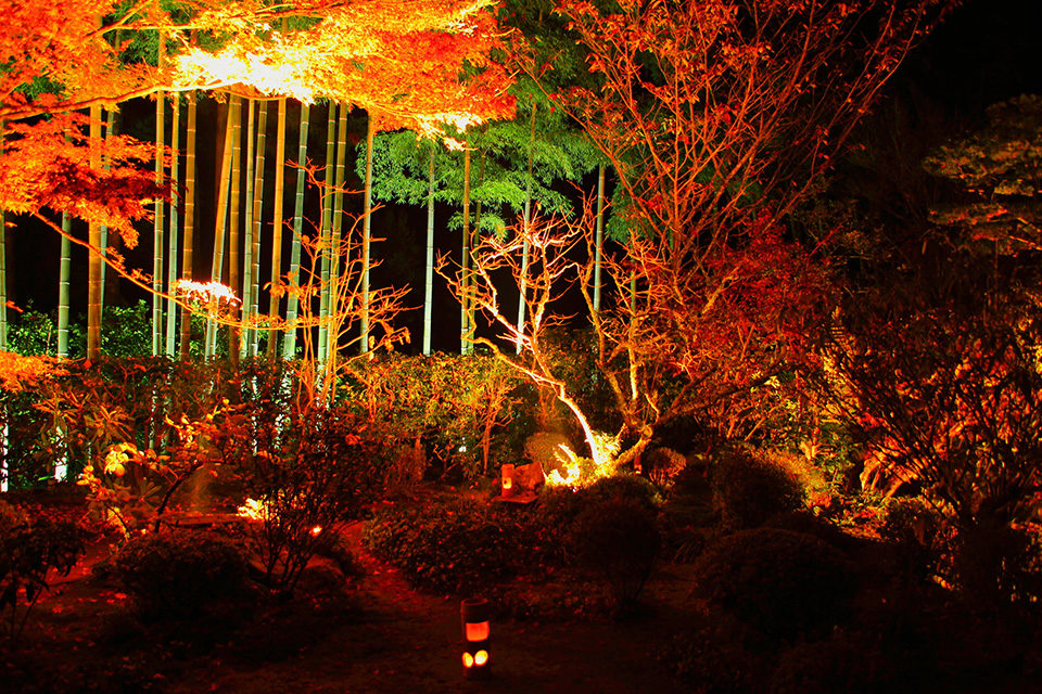 宝泉院 紅葉