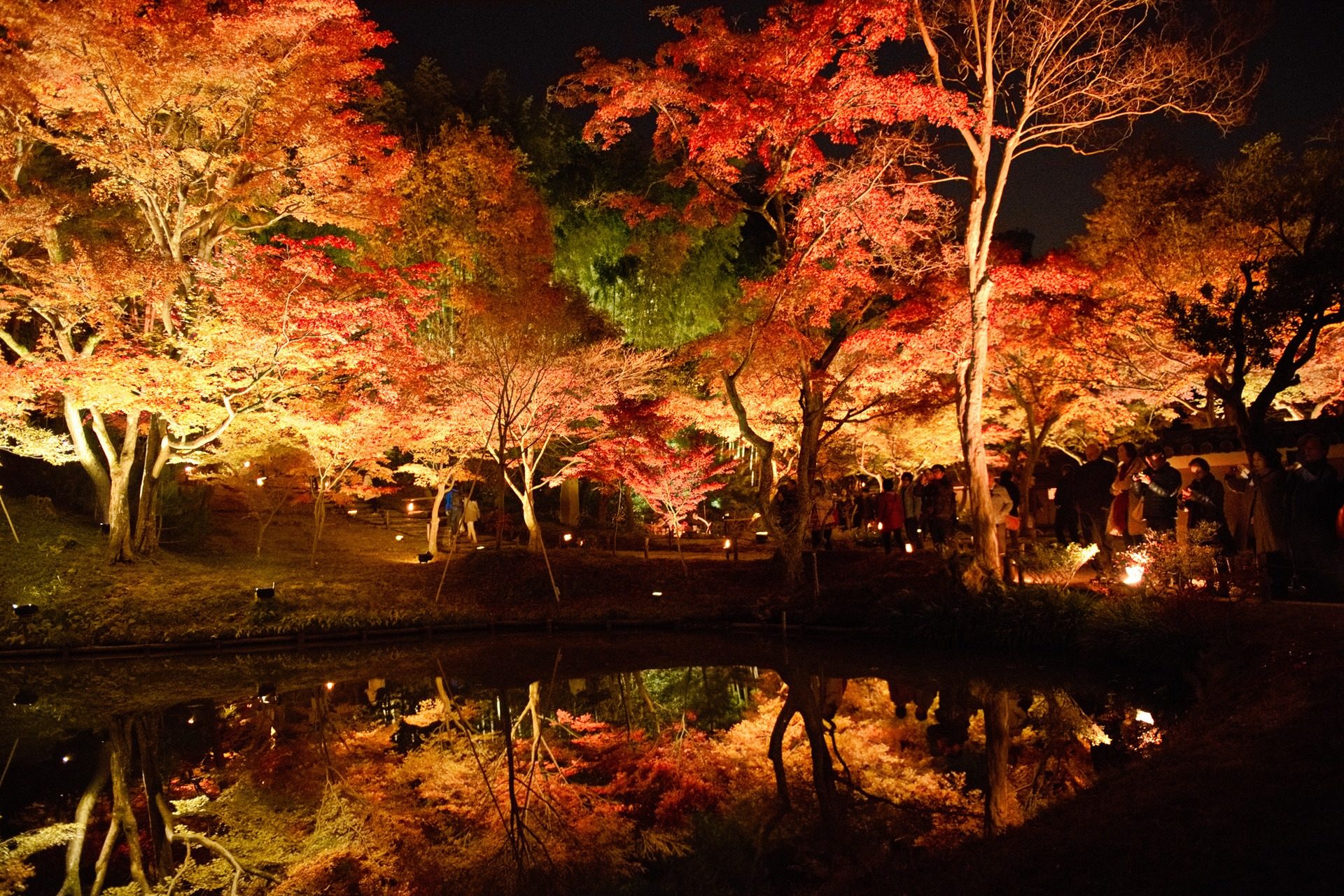 高台寺 紅葉
