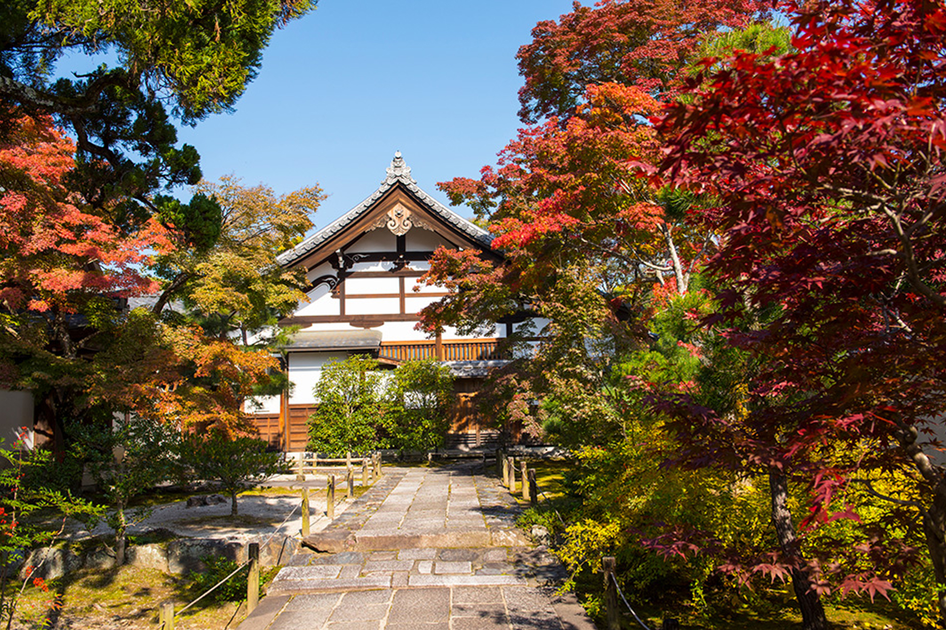 天龍寺 京都 紅葉
