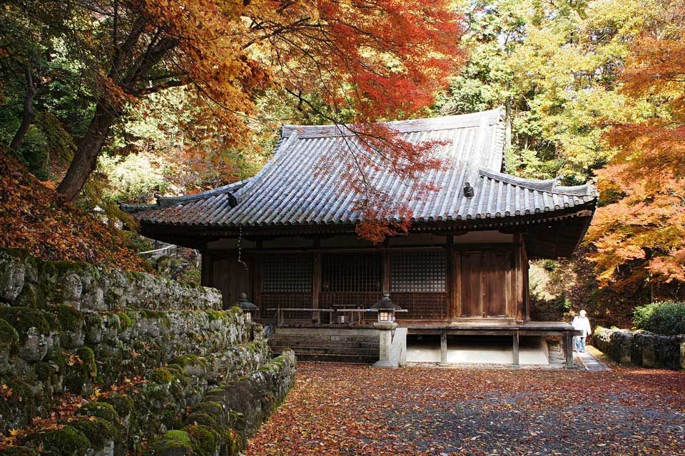 愛宕念仏寺 紅葉
