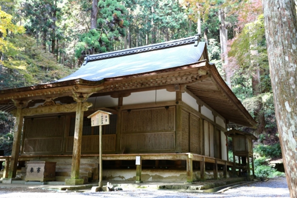 高山寺 紅葉