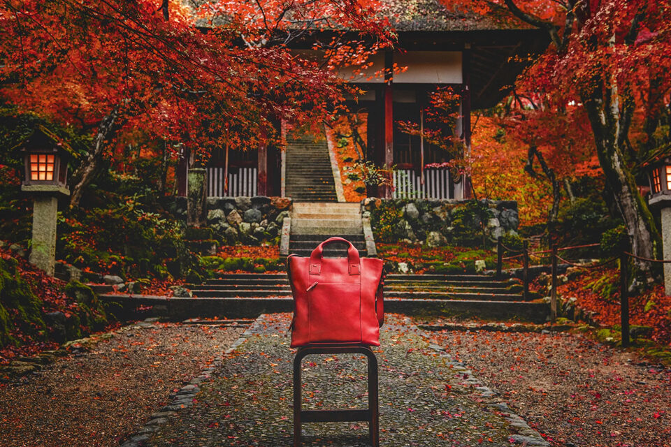 常寂光寺 紅葉 京都