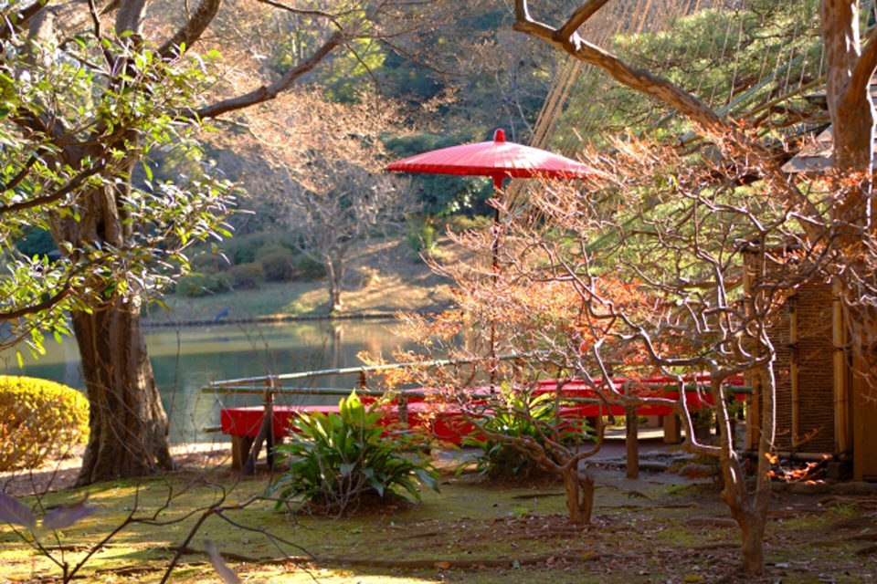 京都円山