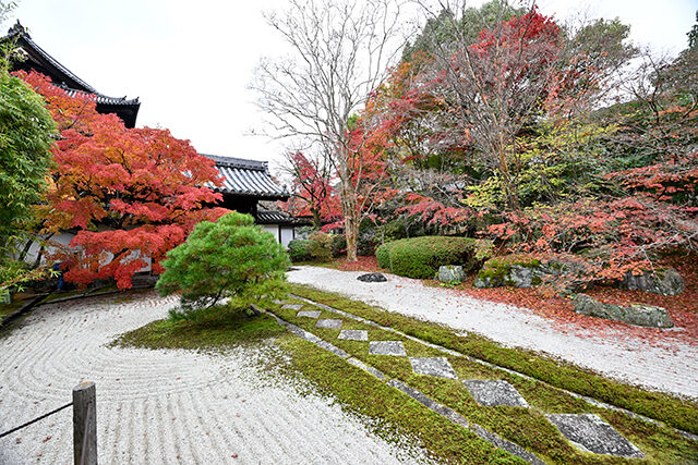 南禅寺 紅葉 京都