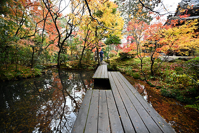 南禅寺 紅葉 京都