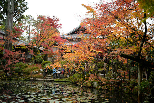 南禅寺 紅葉 京都
